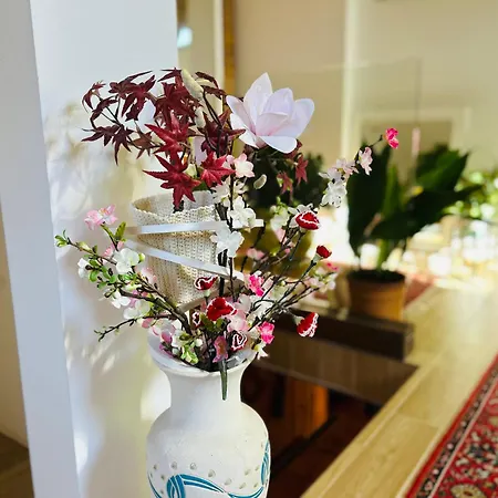 בית נופש House For Nature Lovers מדבודה