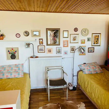 House For Nature Lovers *