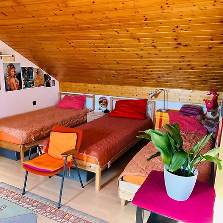 House For Nature Lovers