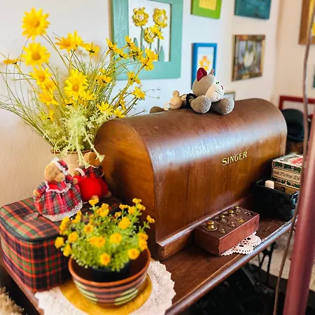 House For Nature Lovers *