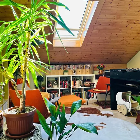 בית נופש House For Nature Lovers מדבודה