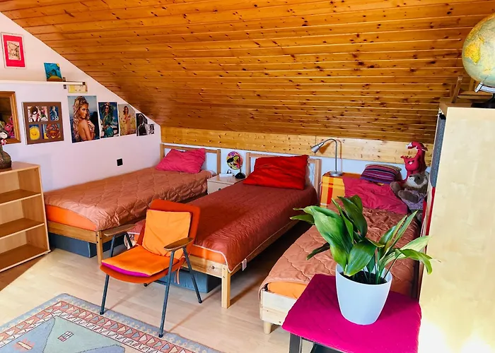 House For Nature Lovers